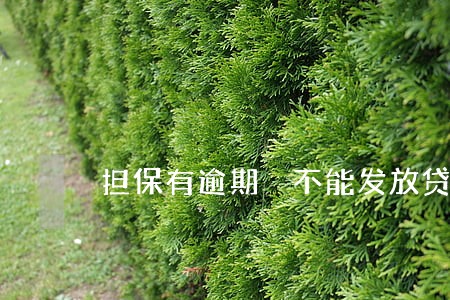 担保有逾期 不能发放贷款 担保有逾期 不能发放贷款